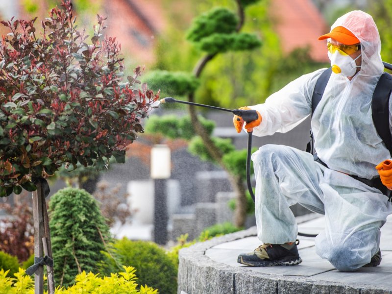 Koçarlı Haşere İlaçlama