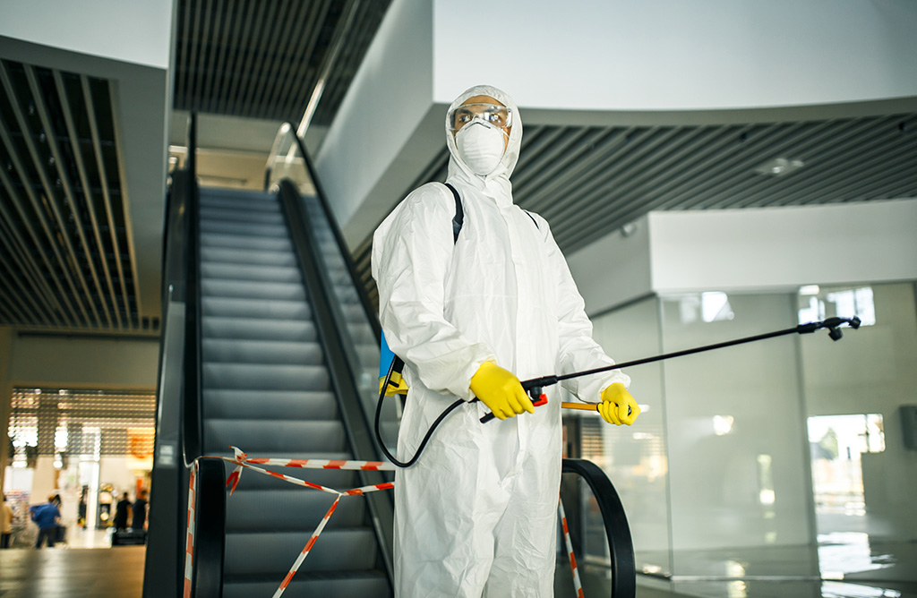 Koçarlı Haşere İlaçlama